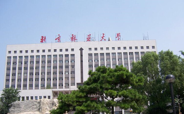 bl_副本.jpg