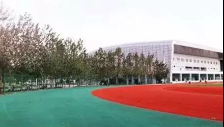 45.jpg