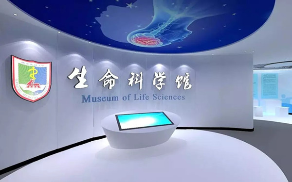 98.webp_副本.jpg