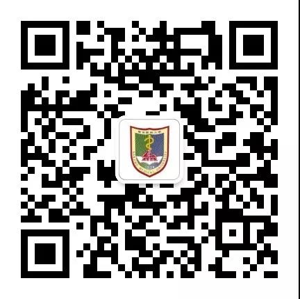 1560657205140019.jpg
