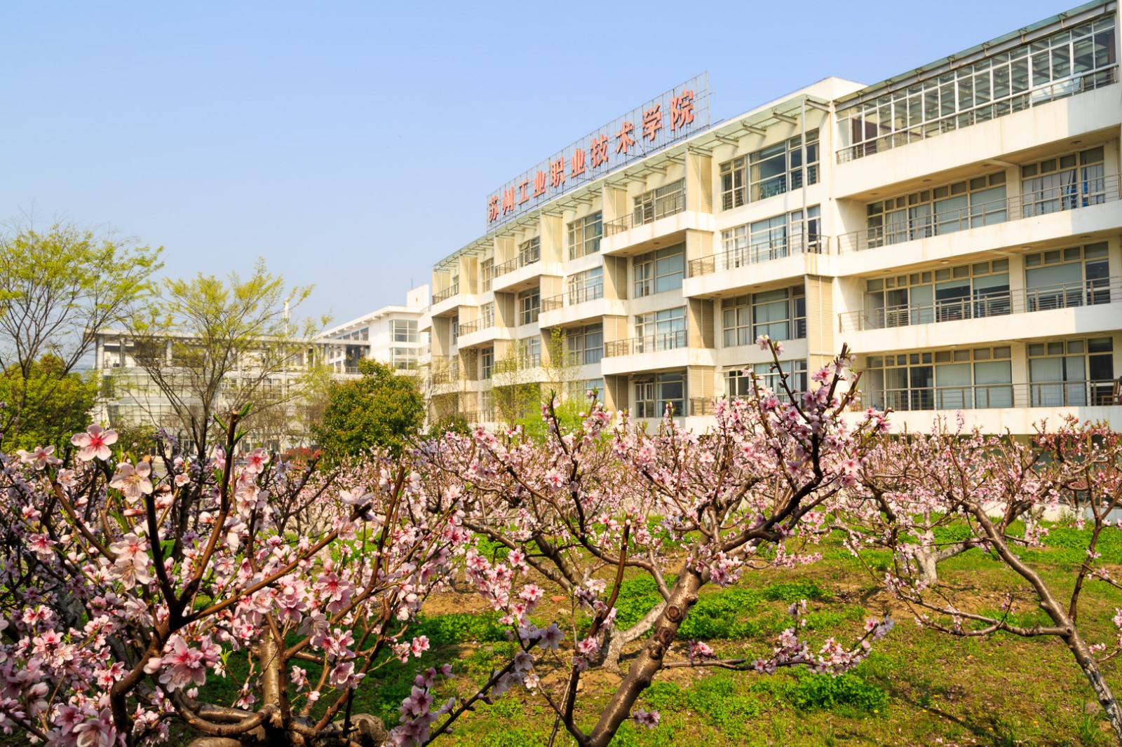 微信圖片_20190610172656.jpg
