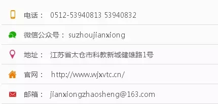 555.webp.jpg