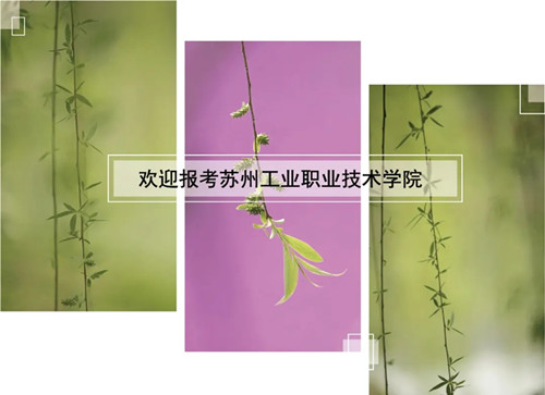 56.webp_副本.jpg