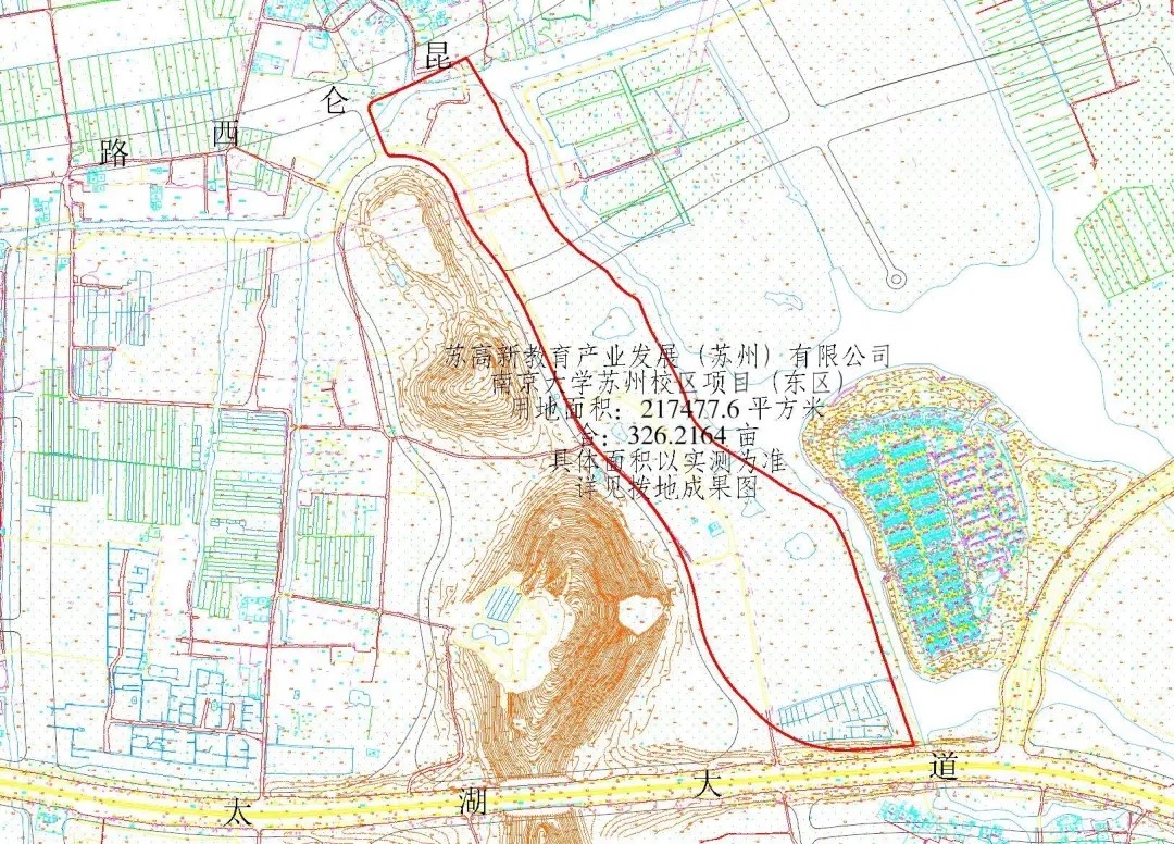 n1.webp.jpg