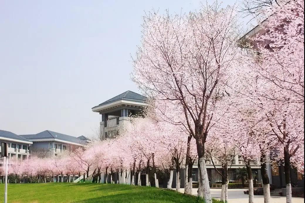 微信圖片_20200719095149.jpg