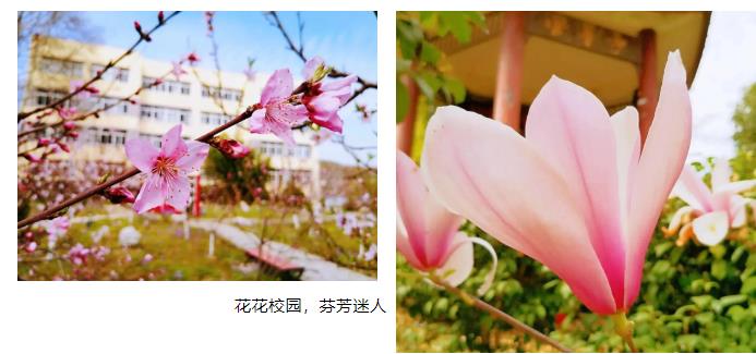360截圖20200722090347129.jpg