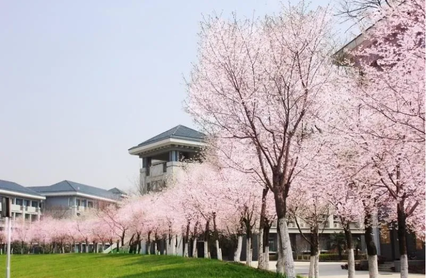 QQ截圖20200724090752.png