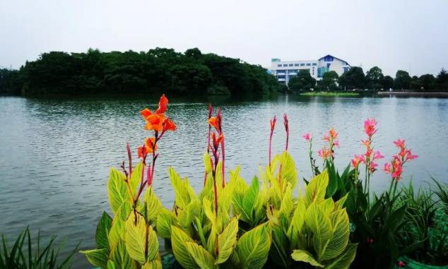360截圖20200727091254780.jpg