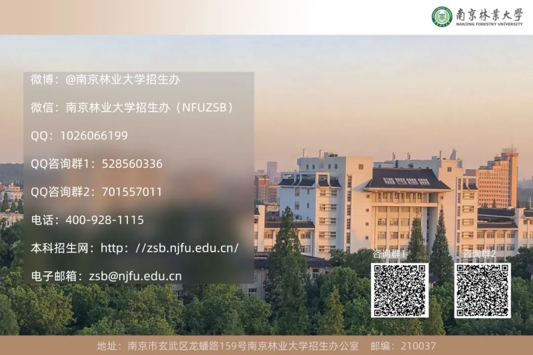 南林.jpg