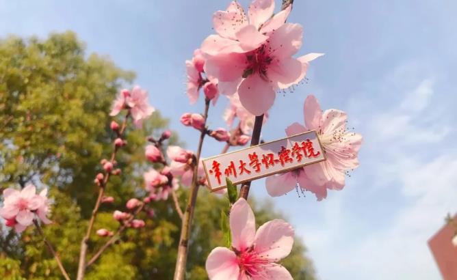 360截圖-236206593.jpg