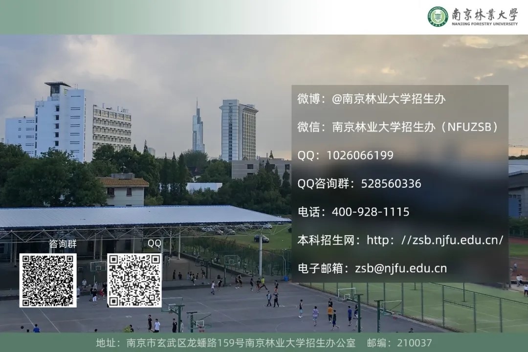 640.webp.jpg