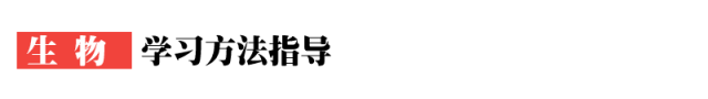 640 (8).png