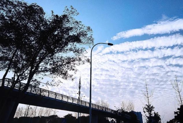 360截圖-599452468.jpg