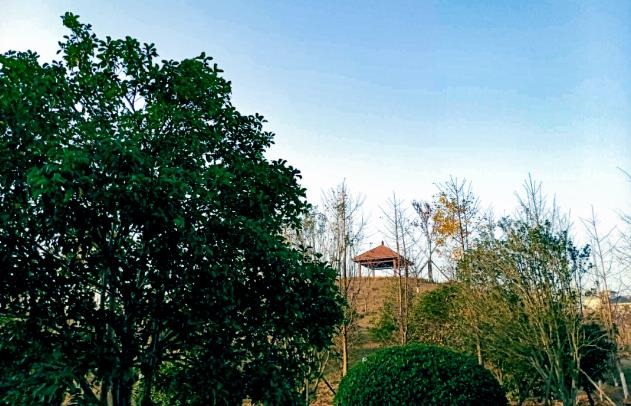 360截圖-599608218.jpg