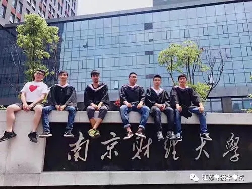 鵝蛋粉高V.webp.jpg