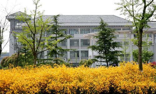 800.jpg