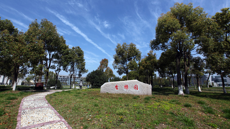 58f9f5542396f.JPG