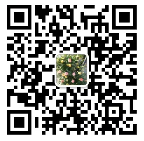 1640053542526221.png