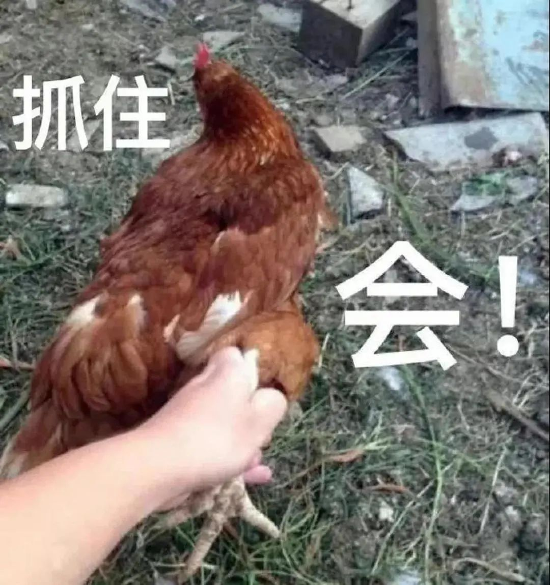 圖片 7.png