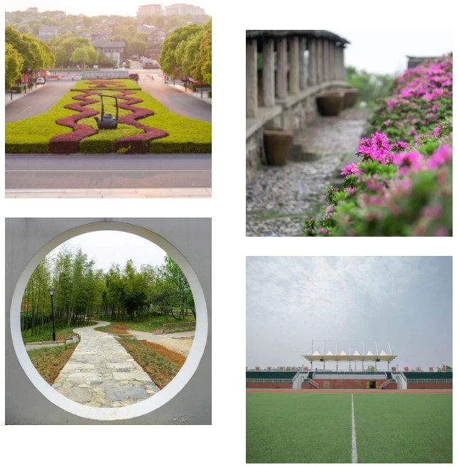w.jpg