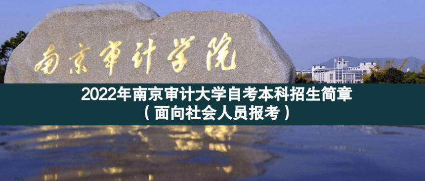 審計面向.png