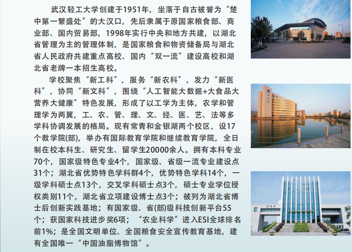 武漢輕工4.png