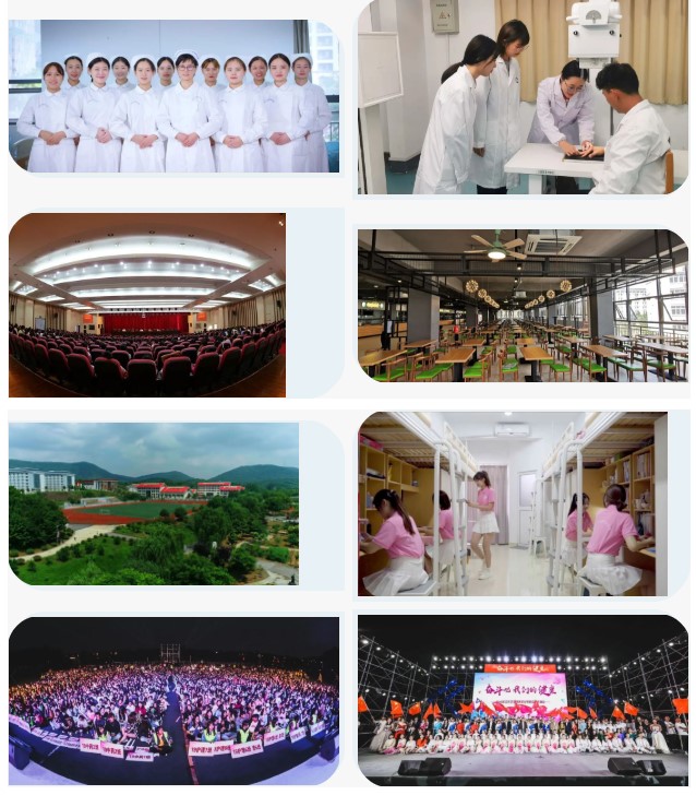 yy.jpg