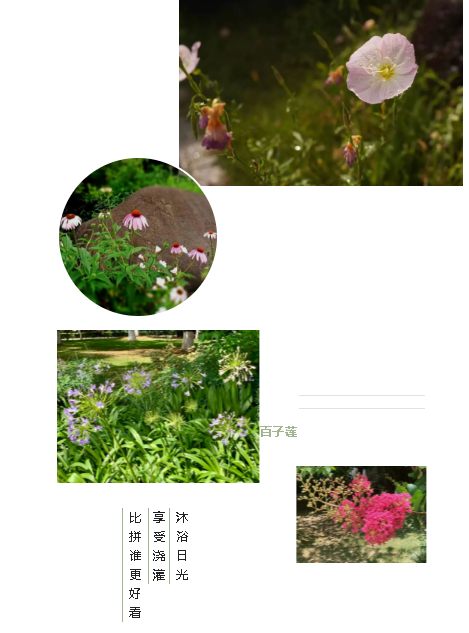 6.png