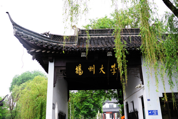 揚(yáng)大2.jpg