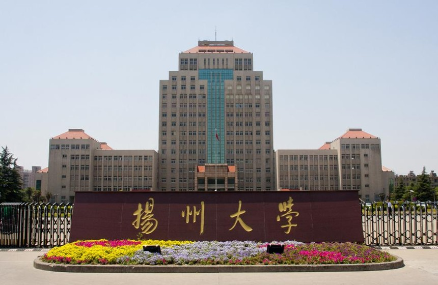 揚大11.png