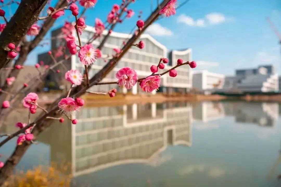 南航2.jpg