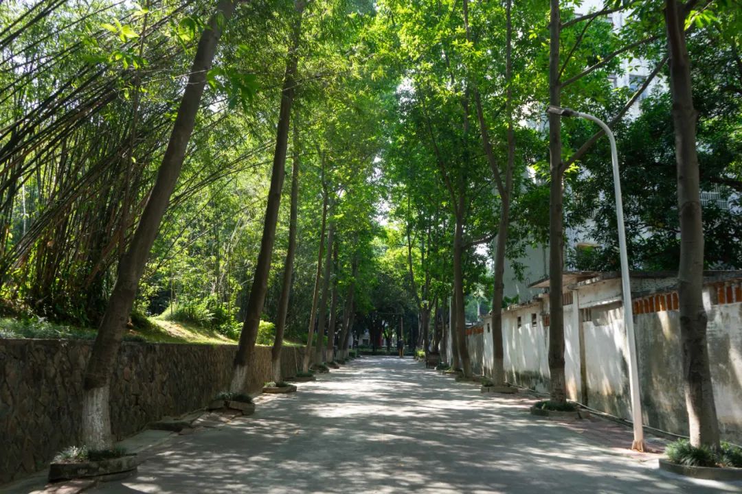東莞.jpg