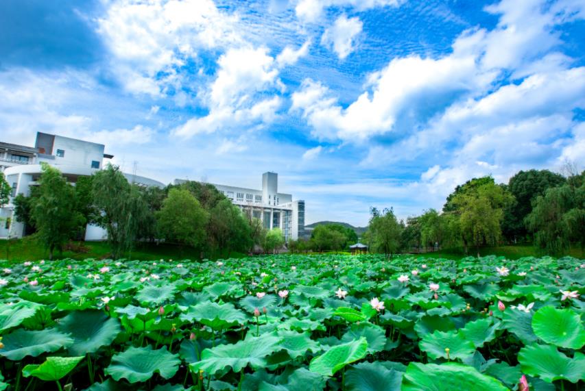 微信截圖_20230531154141.jpg