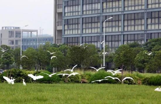 360截圖20230622102720773.jpg