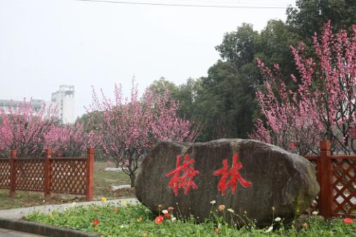 無錫商業(yè)職業(yè)技術(shù)學(xué)院14.jpg