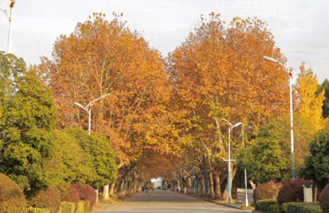 江海職業(yè)技術(shù)學(xué)院.jpg
