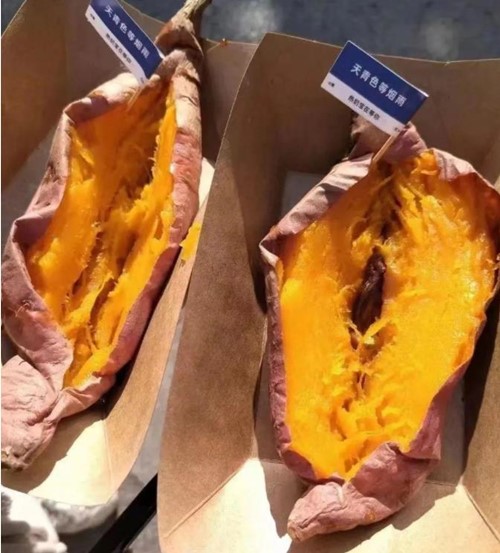無錫商業(yè)職業(yè)技術(shù)學(xué)院27_副本.jpg