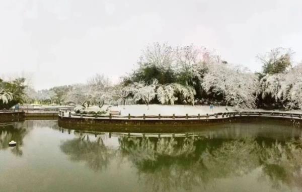 經(jīng)貿(mào)，一個(gè)有“風(fēng)”的地方12.jpg