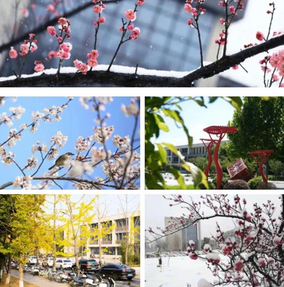 那些隱藏在泰職院校園的“數(shù)字” ，等你來解鎖！9_副本.jpg
