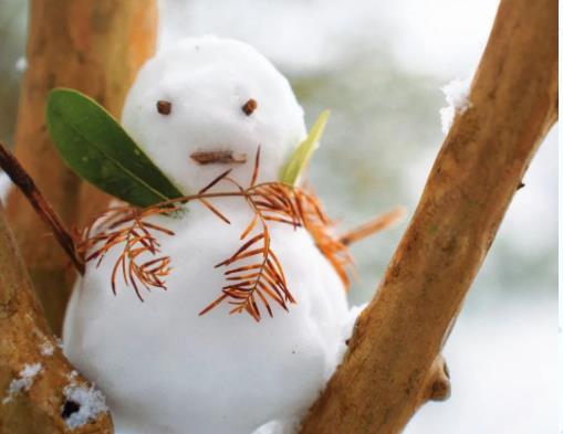 冬日雪舞，校園留痕！回憶無錫商業(yè)職業(yè)技術學院的那場雪！3.jpg