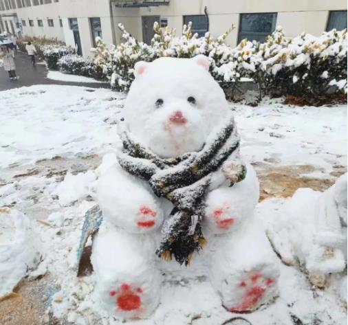 冬日雪舞，校園留痕！回憶無錫商業(yè)職業(yè)技術學院的那場雪！4.jpg