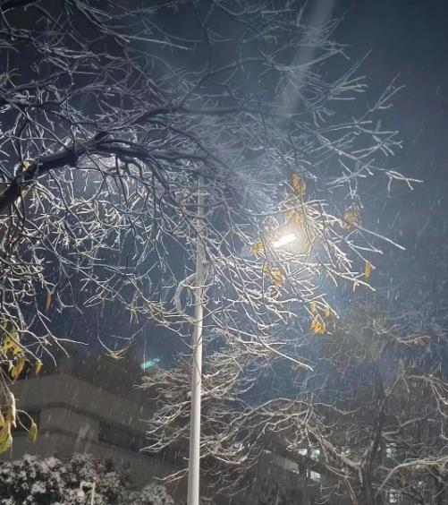 冬日雪舞，校園留痕！回憶無錫商業(yè)職業(yè)技術學院的那場雪111.jpg