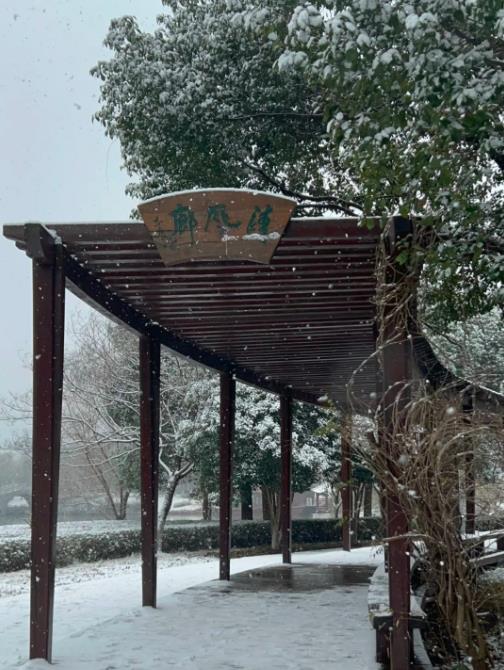 冬日雪舞，校園留痕！回憶無錫商業(yè)職業(yè)技術學院的那場雪！12.jpg