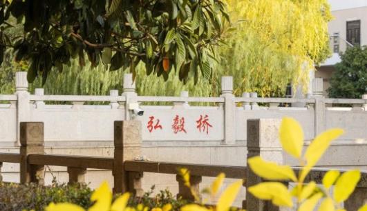 在常州工程，“橋”見美好！15.jpg