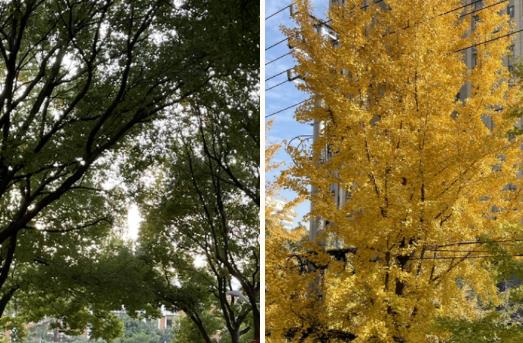 風(fēng)華正茂，五彩繽紛！體驗在南京科技職業(yè)學(xué)院上學(xué)的一天.jpg