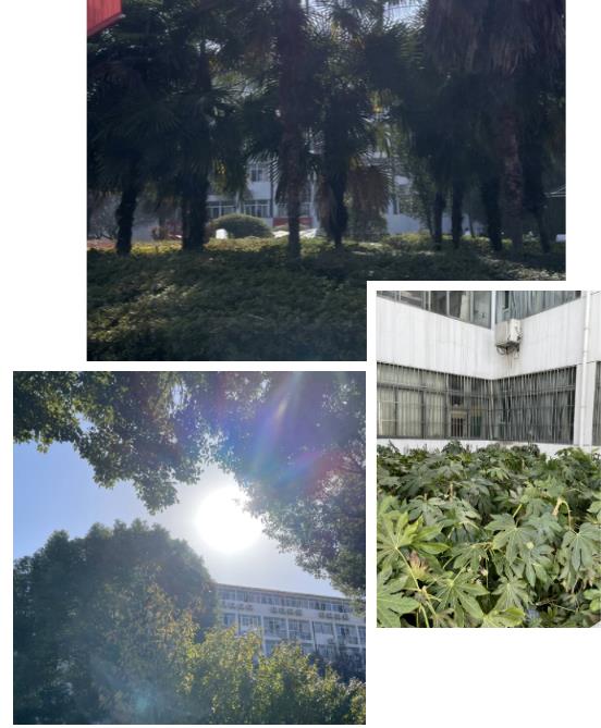 風(fēng)華正茂，五彩繽紛！體驗在南京科技職業(yè)學(xué)院上學(xué)的一天12.jpg