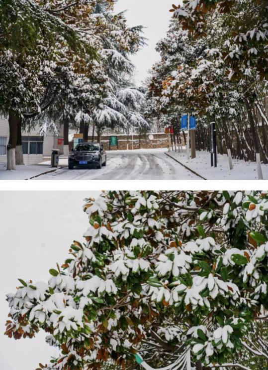 雪落蘇建院，盼春歸也盼你歸5.jpg