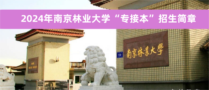 畢業(yè)季實(shí)景風(fēng)方形海報(bào)__2023-10-18+17_28_23.png