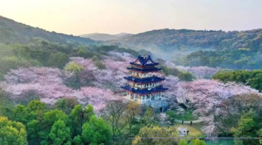 無(wú)錫南洋職業(yè)技術(shù)學(xué)院2024年報(bào)考指南11.jpg
