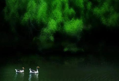 江蘇農(nóng)牧科技職業(yè)學院2.jpg